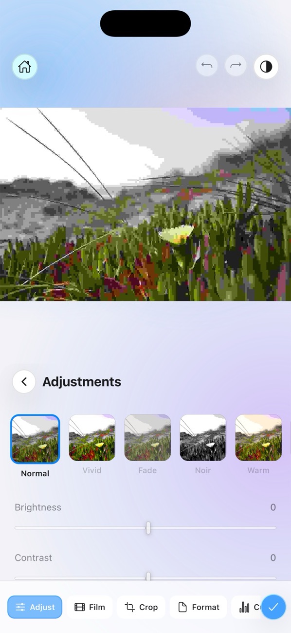The editor's Adjustments tool with filter presets and brightness and contrast sliders