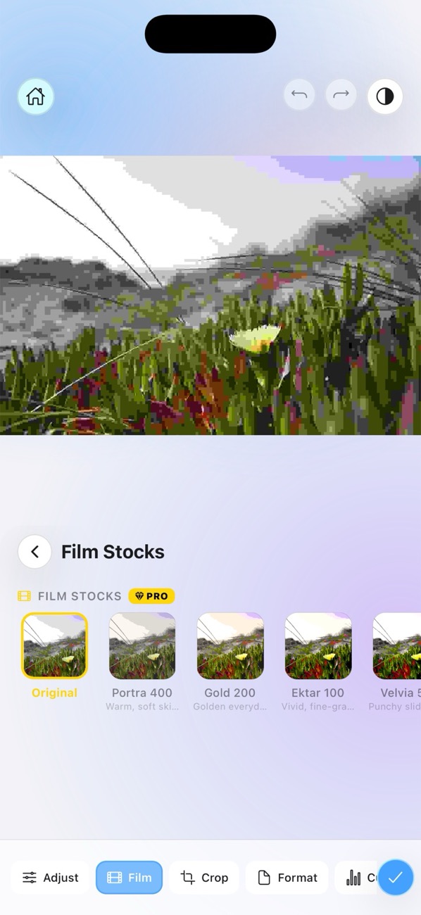 Film Stocks strip inside the editor with gold PRO chrome